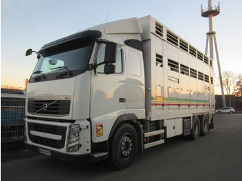 가축 트럭 VOLVO FH 460