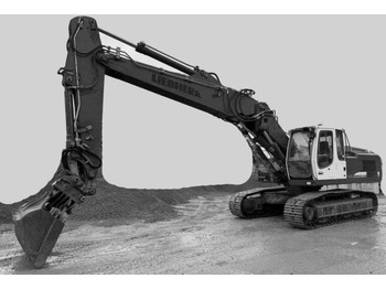 크롤러 굴삭기 LIEBHERR R 934