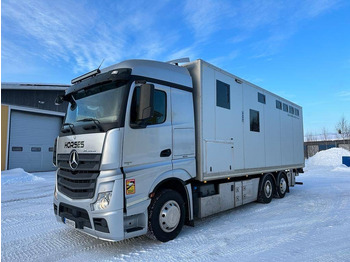 가축 트럭 MERCEDES-BENZ Actros