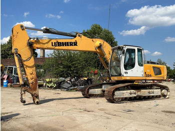 크롤러 굴삭기 LIEBHERR R 924