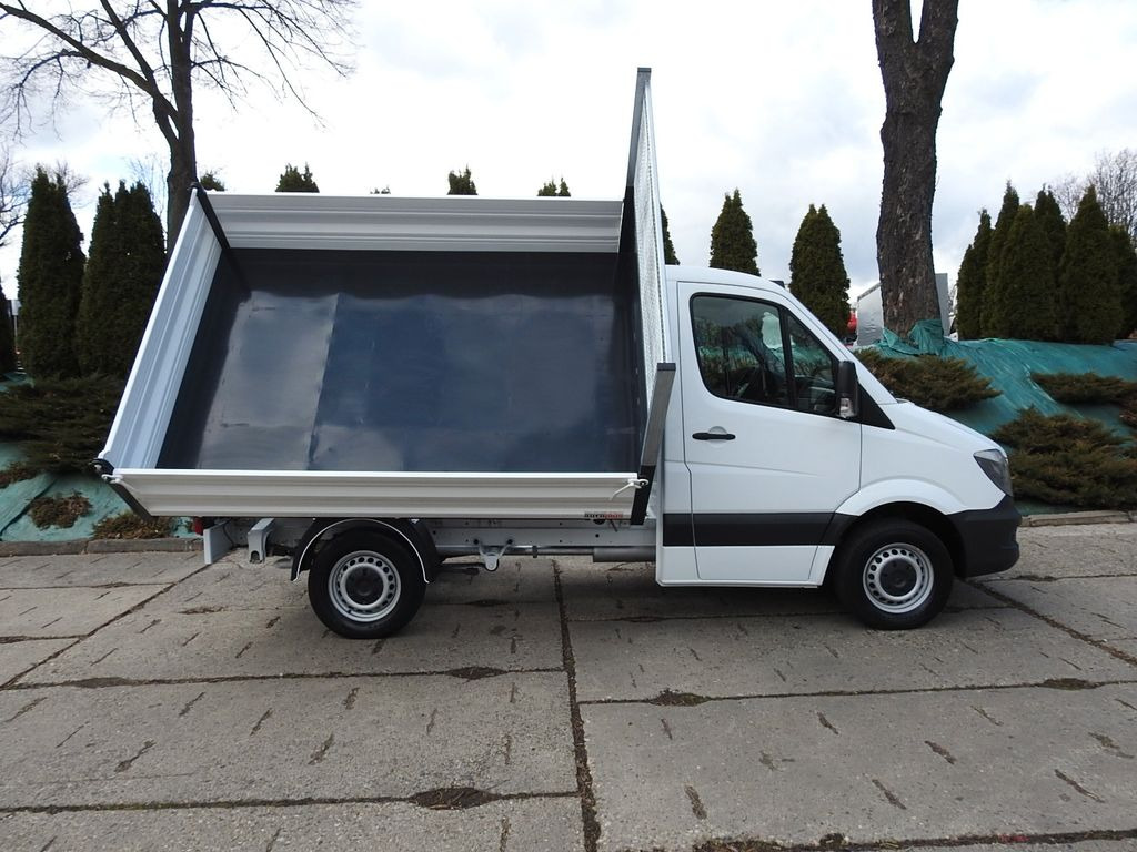 덤프 밴 Mercedes-Benz SPRINTER 316 THREE-WAY TIPPER A/C TEMPOMAT : 사진 9