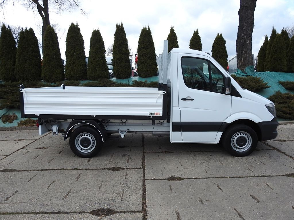 덤프 밴 Mercedes-Benz SPRINTER 316 THREE-WAY TIPPER A/C TEMPOMAT : 사진 7