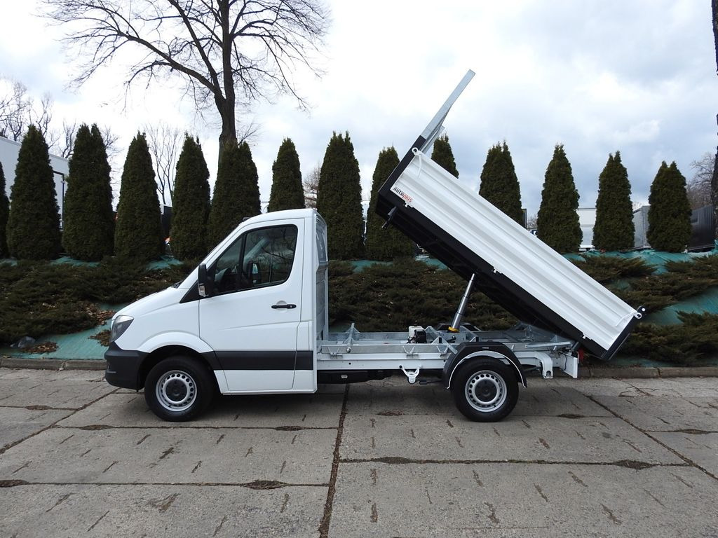 덤프 밴 Mercedes-Benz SPRINTER 316 THREE-WAY TIPPER A/C TEMPOMAT : 사진 8