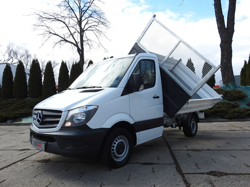 덤프 밴 Mercedes-Benz SPRINTER 316 THREE-WAY TIPPER A/C TEMPOMAT : 사진 18